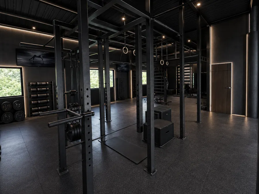 Calisthenics rig with rings, wall bars and plyo boxes